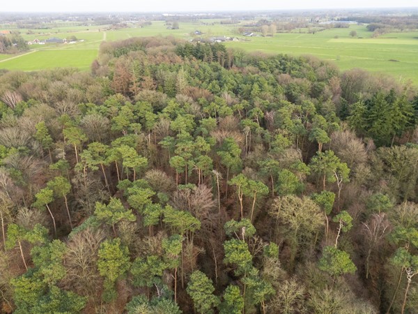 Medium property photo - Koninksweg 3C, 7065 AD Sinderen